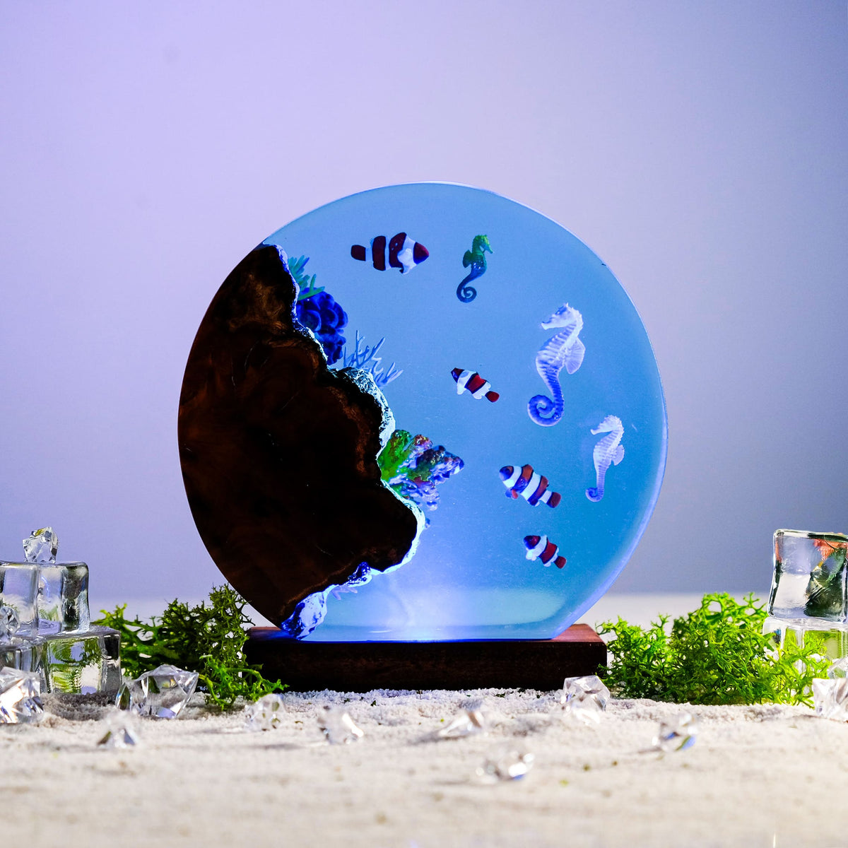 Resin Lamp — Seahorses & Clownfish in a Round Ocean Disc with Dark Burl Wood Edge - view 4
