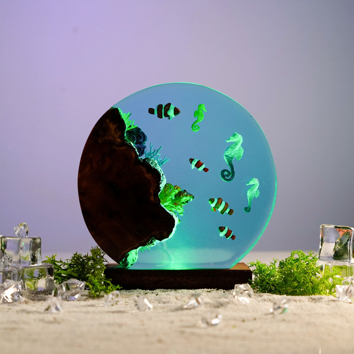 Resin Lamp — Seahorses & Clownfish in a Round Ocean Disc with Dark Burl Wood Edge - view 2