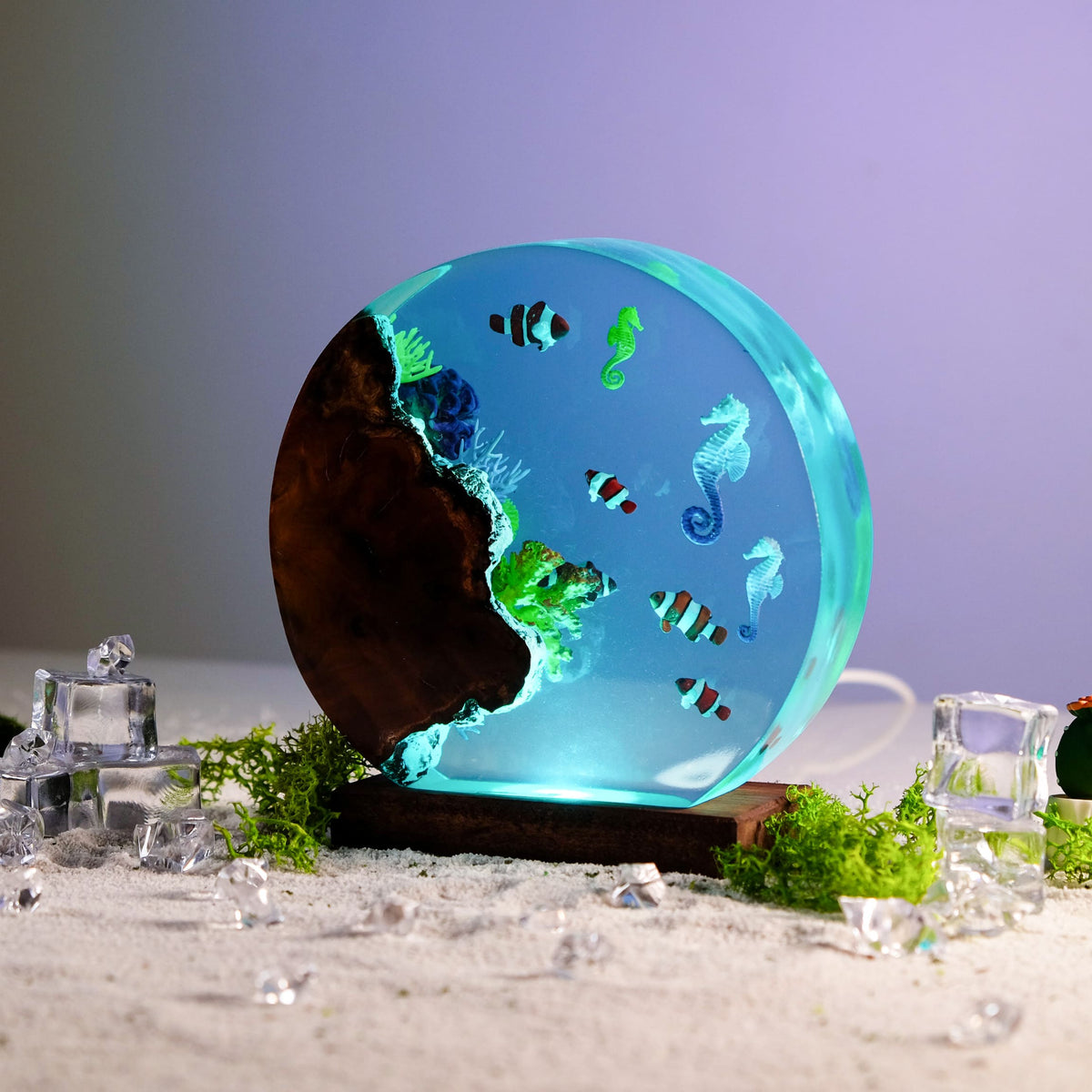 Resin Lamp — Seahorses & Clownfish in a Round Ocean Disc with Dark Burl Wood Edge - view 1
