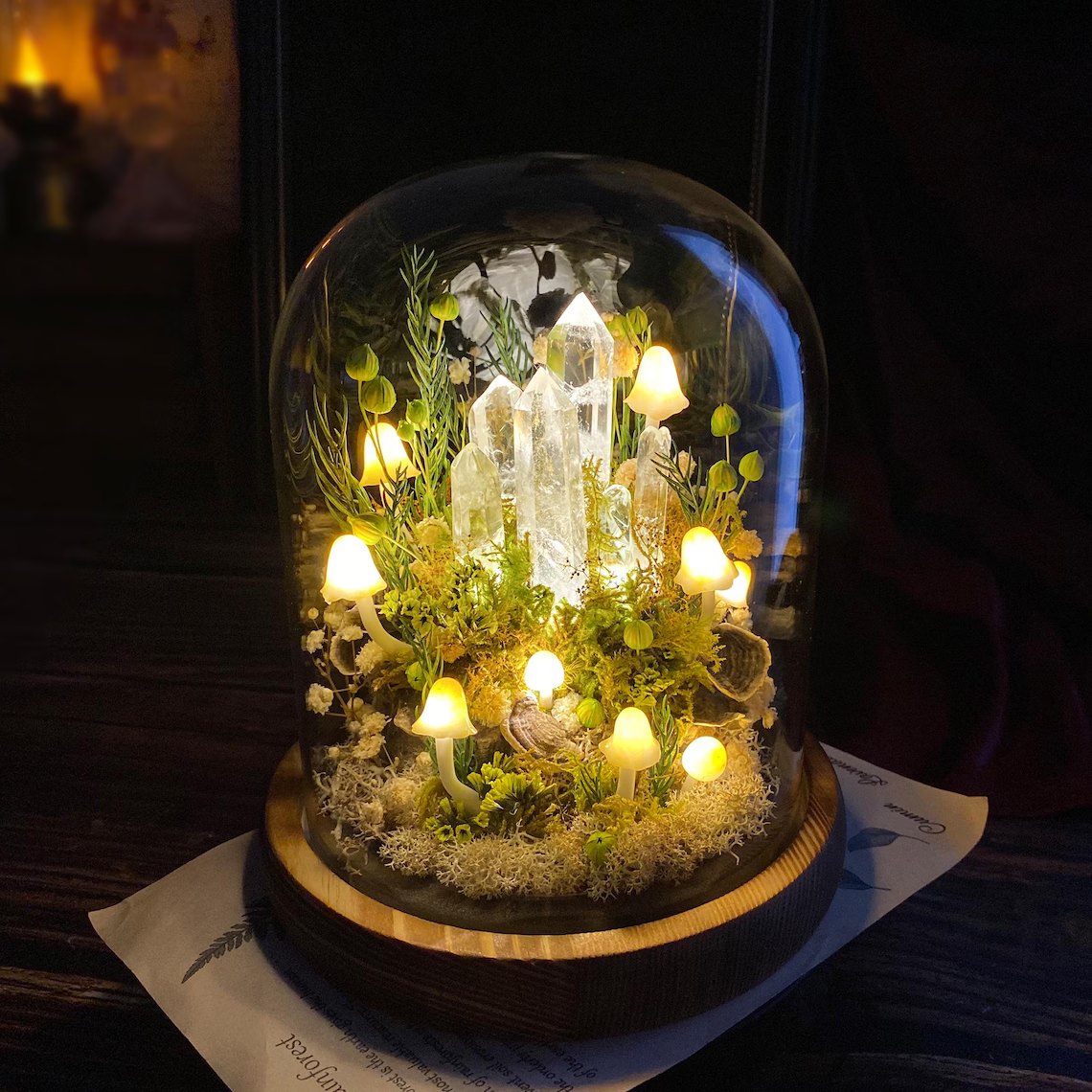 Mushroom night light glass dome with glowing mushrooms and crystals
