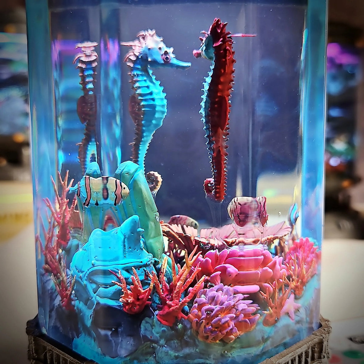 Close-up of blue, red and pink seahorses above pink coral