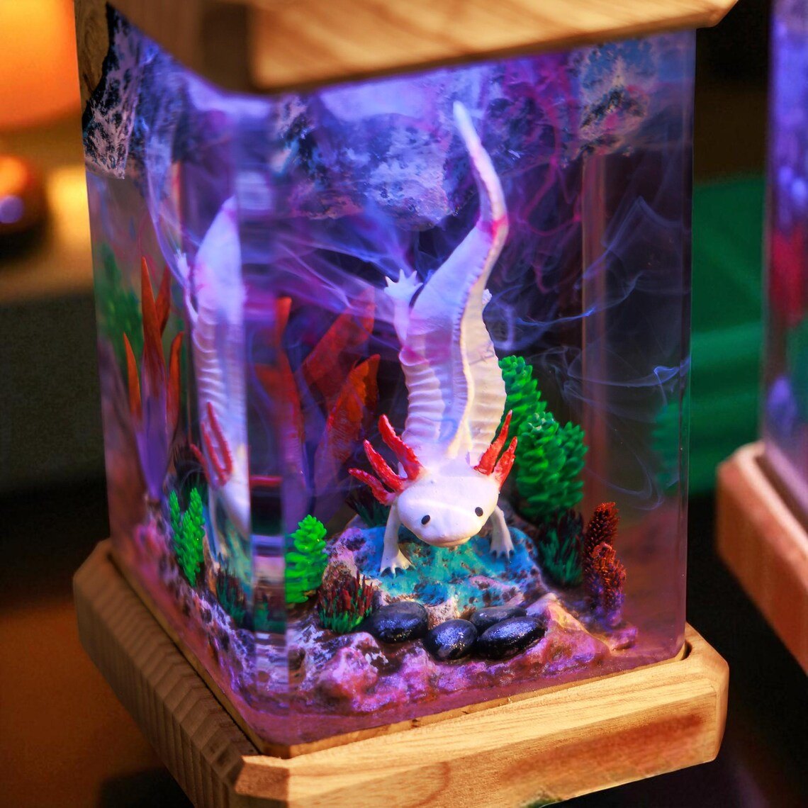 Close-up of the axolotl with red gills and pebbles